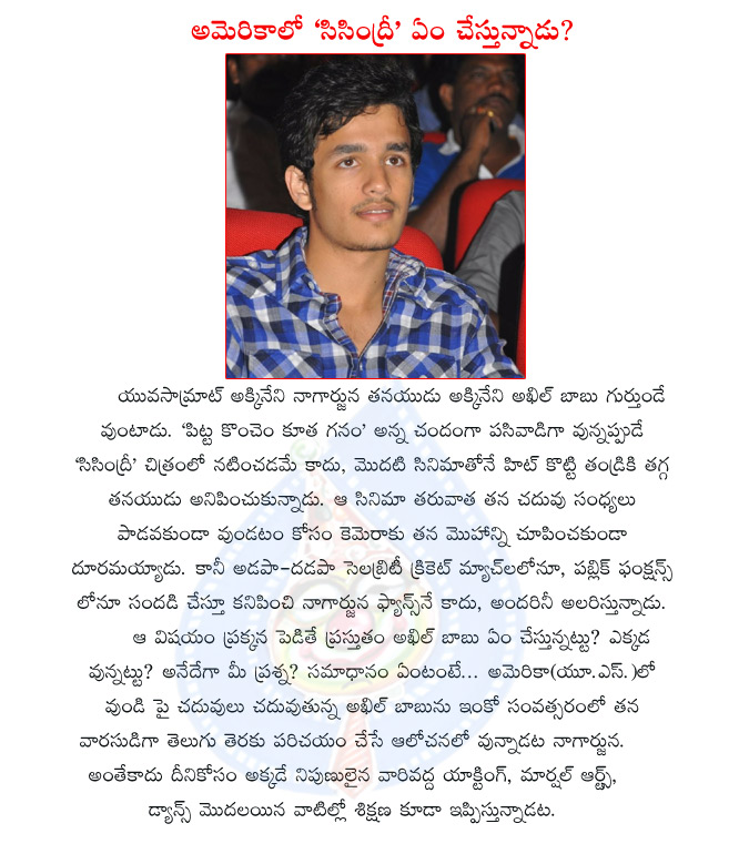 akhil,nagarjuna son,nagarjuna son akhil in usa,higher studies,sisindri movie,akhil movie soon,naga chaitanya,akhil introducting soon,akhil movies,akhil hero,nagarjuna son akhil in us  akhil, nagarjuna son, nagarjuna son akhil in usa, higher studies, sisindri movie, akhil movie soon, naga chaitanya, akhil introducting soon, akhil movies, akhil hero, nagarjuna son akhil in us